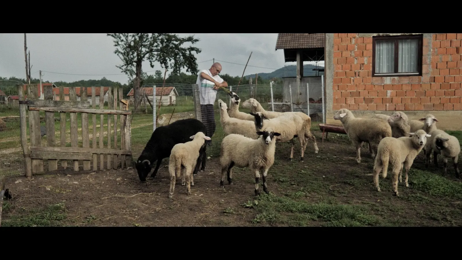 Kadar iz filma Dnevnici mog oca 6