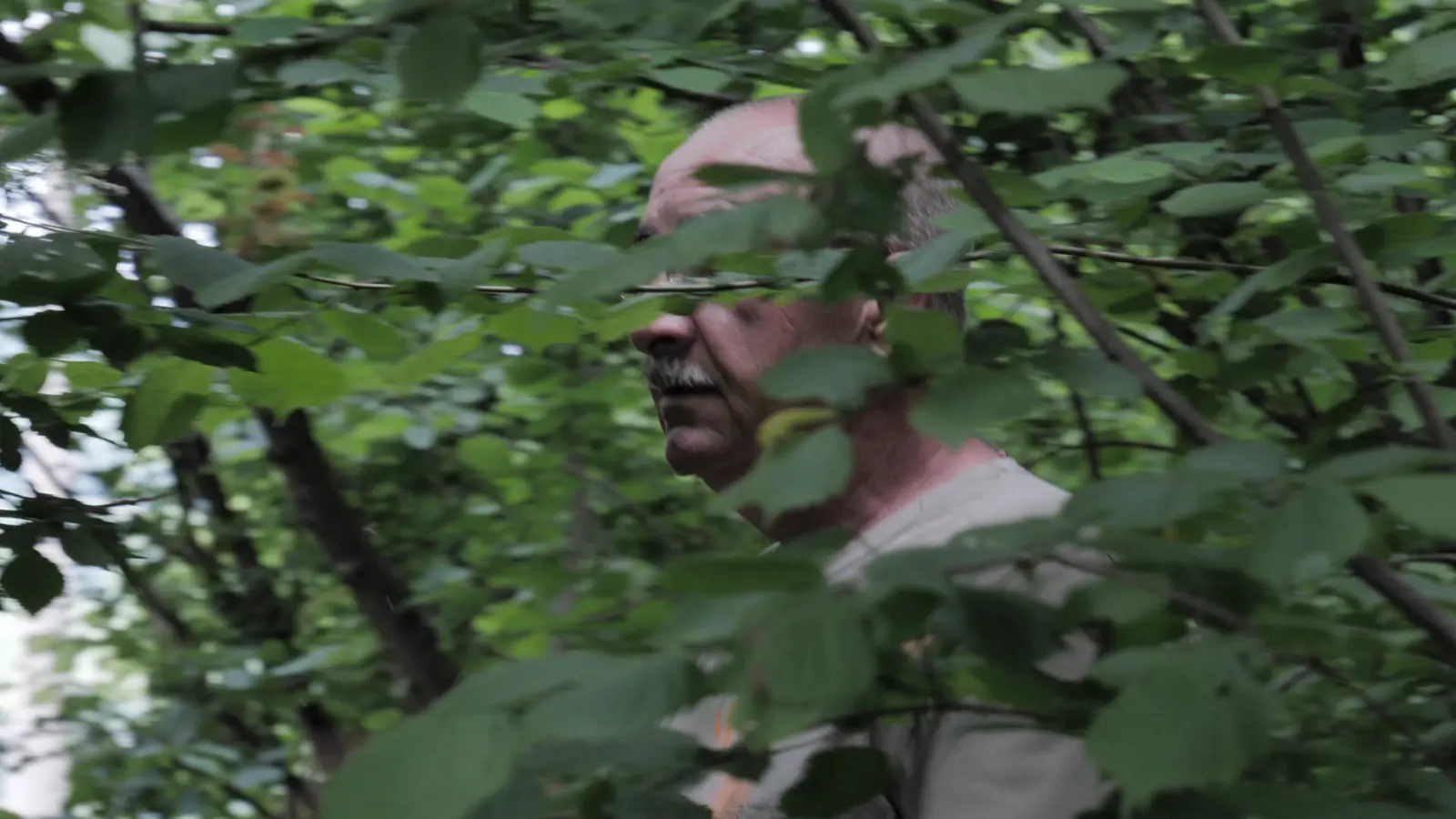 Kadar iz filma Dnevnici mog oca 14